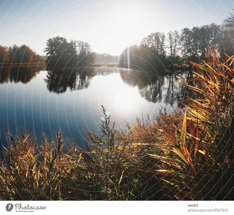 Reflections of Nature in the Early Morning image - Free stock