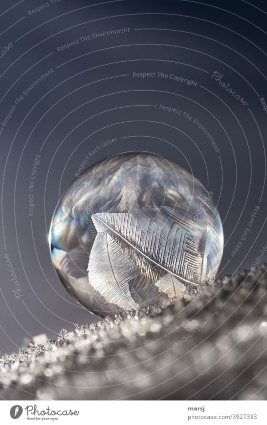 Imaginary and inflated ball that has gone off the rails.... Ice structures on a soap bubble. Soap bubble Transience Uniqueness Bizarre Purity Force Round