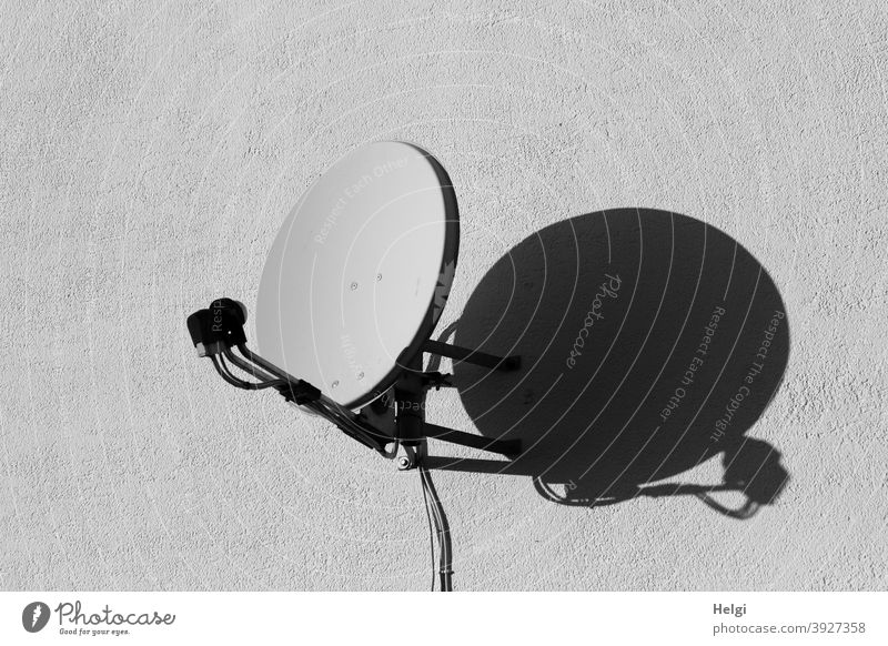 on reception - satellite dish in sunlight casts shadows on a white wall Satellite Dish Receive Light Shadow Wall (building) Exterior shot Deserted
