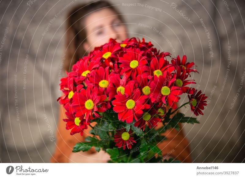 Gifts, celebration and tenderness concept. Surprised cute young female holding a bouquet of red flowers, daisies for Valentines Day or Birthday, romantic background