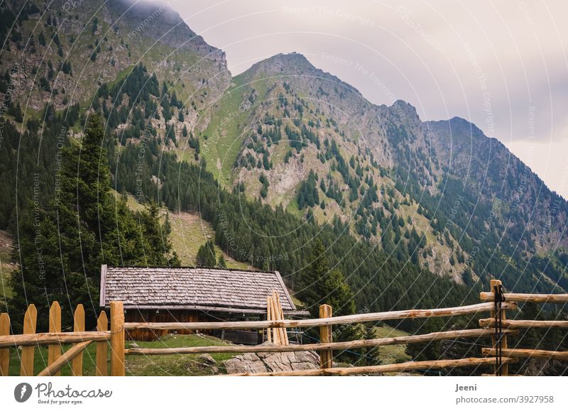 Hiking in the alps | view from the alpine pasture on the way up | cloudy and foggy up there Alpine pasture Alps Mountain Mountain meadow outlook alpine hut Sky