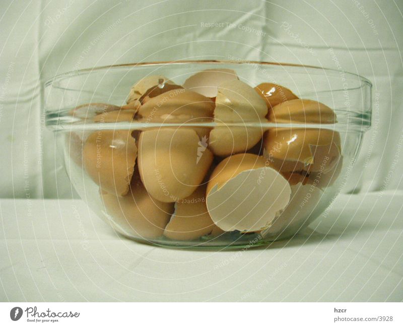 shell Eggshell Bowl Things