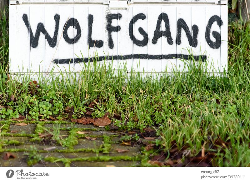 First names | Discovery topic day first name Wolfgang Deserted Colour photo Exterior shot Day Close-up Characters Distributor junction box Graffito Graffiti