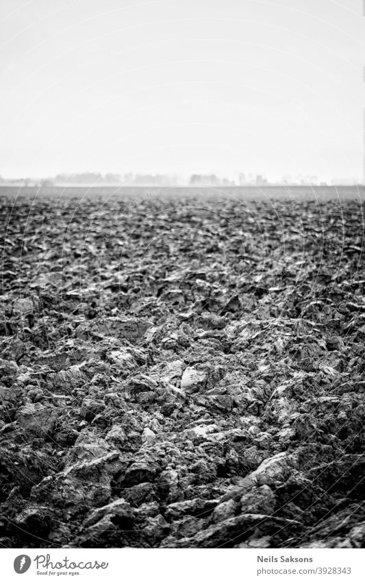 Plowed agricultural farm field pattern Soil ground earth sky farmland dirt agriculture agronomy asia autumn background black brown cultivated cultivating