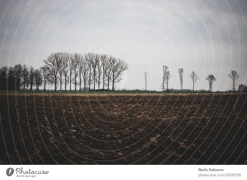 Plowed agricultural farm field pattern with bare trees in background Soil earth sky farmland dirt agriculture agronomy asia autumn black brown cultivated