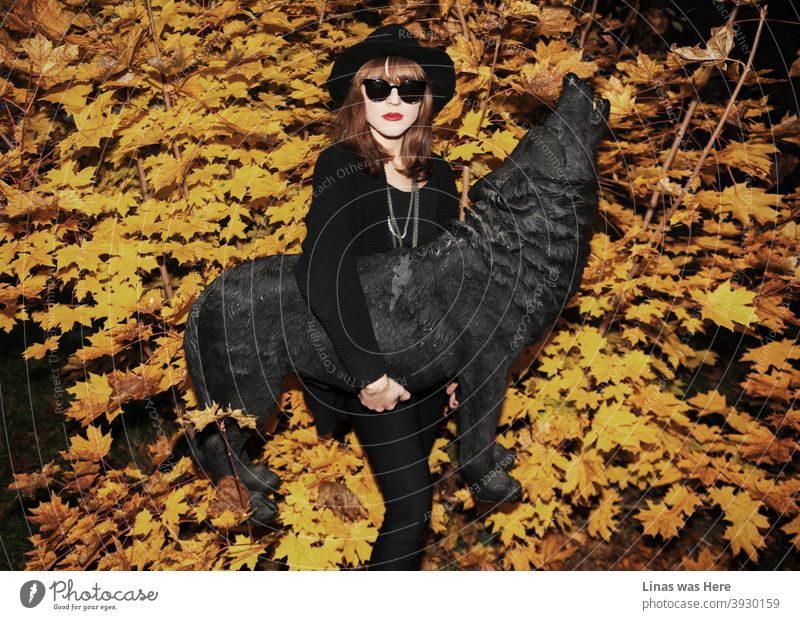 Autumn is here. A gorgeous brunette model dressed in black is posing with a black wolf statue. Yellow golden leaves are in the background and the pretty face girl is wearing sunglasses.