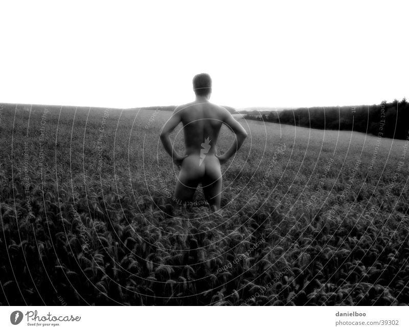 solitariness Naked Field Panorama (View) Man Harvest Hind quarters Nature Large