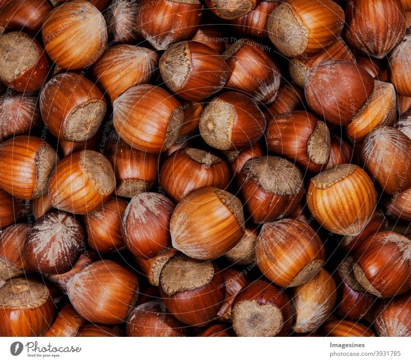 whole organic hazelnuts. Top view autumn texture background. Harvest, autumn. Food ingredient hazelnuts background, detailed close up. Abstract Autumn