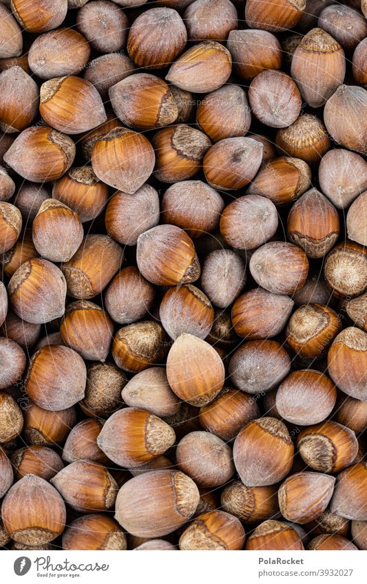 #S# Herd Nuts II Hazelnut hazelnuts Hazel brown shell waste Christmas & Advent Brown Many Food Close-up Nutshell Deserted Vegetarian diet diverse Nut brown