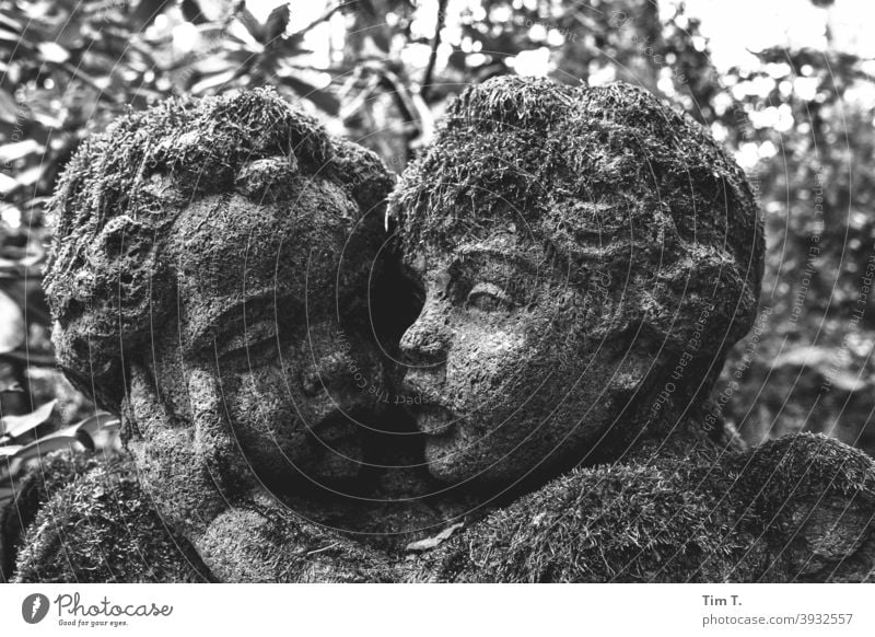 Two angels with moss b/w Angel Cemetery Black & white photo B/W Architecture Detail Dark Exterior shot Old