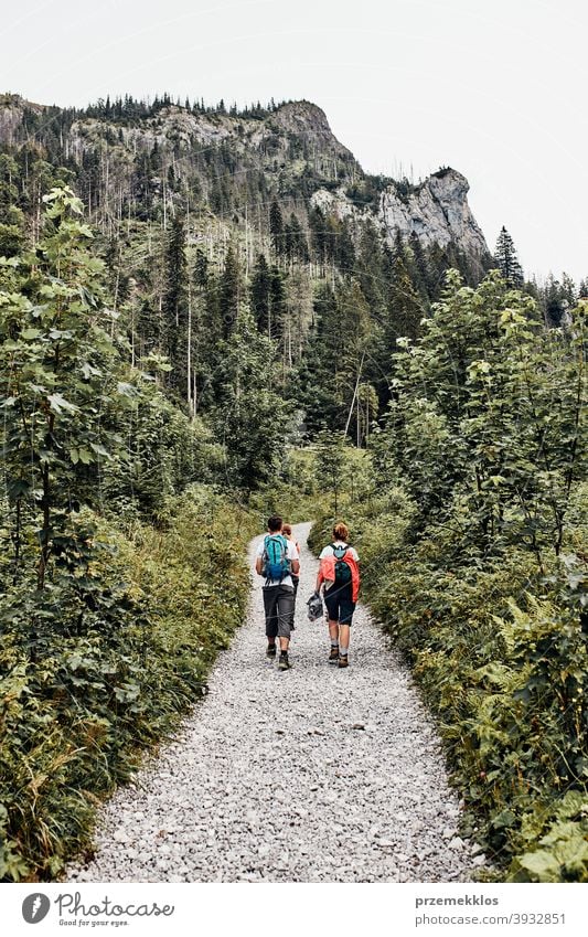 Family with backpacks hiking in a mountains actively spending summer vacation together activity adventure forest forest landscape forest path freedom fun