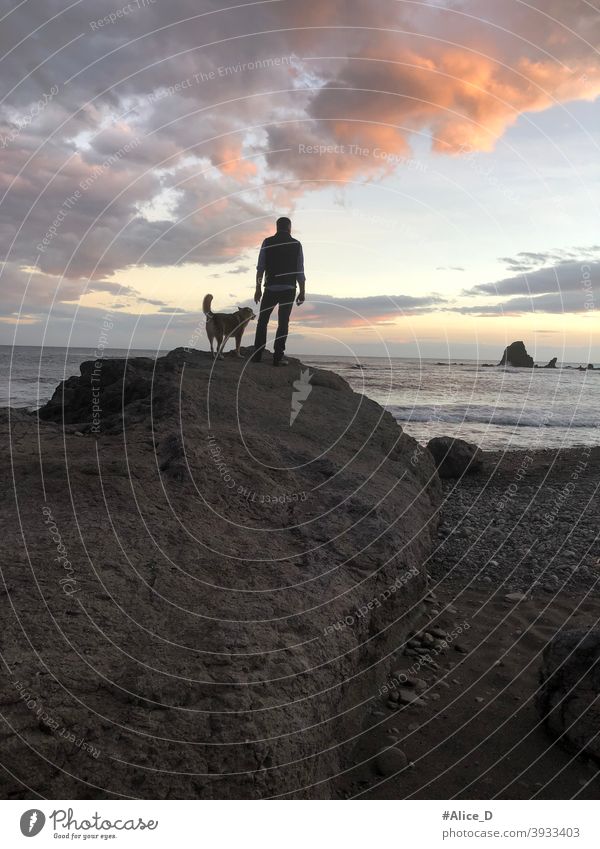 Man and dog standing on rocks looking at the sea at sunset spain Andalusia Almeria nijar natural park Cabo de Gata dusky sunlight shining coastal Skirt seascape