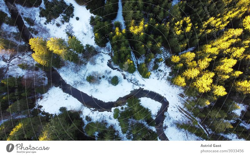 Drone photo of forest with stream in winter with light and shadow drone photo Aerial photograph Forest Brook bachlauf trees Landscape Winter Snow Sun Light