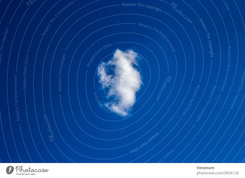 single Cloud Sky Astronomical studies Sky View Outdoor Nature Nature observation Cloud Field Thunderstorms Cloud collection Cloud accumulations Cloud formation