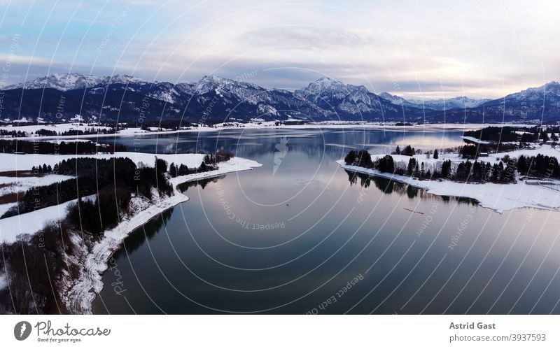 Aerial photo with a drone of the Forggensee in the Allgäu in winter in the blue hour Aerial photograph drone photo Lake Forggensee Body of water Bavaria