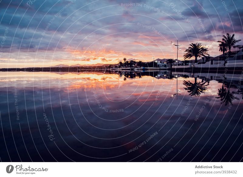 Scenic sunset over sea in picturesque resort seascape landscape embankment palm nature paradise coast idyllic scenery peaceful cloudy colorful sky silhouette