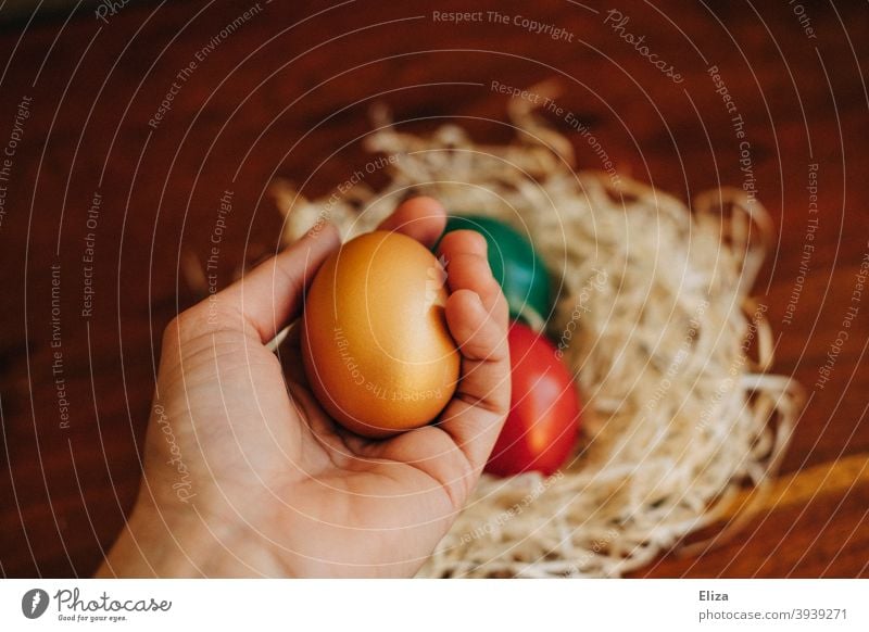 A hand holds a painted Easter egg, in the background an Easter nest with more colorful Easter eggs Painted variegated Easter egg nest Nest colorful eggs colored