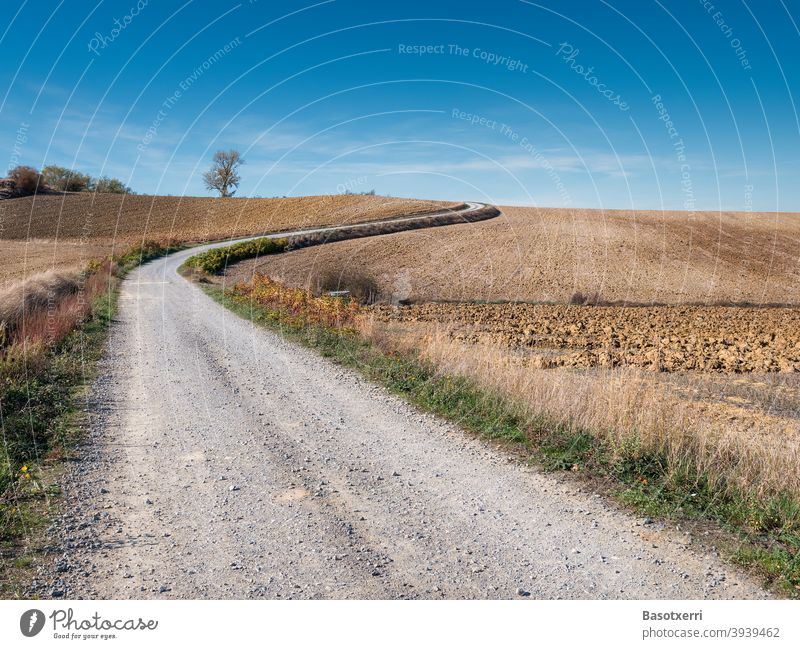 Bend on the gravel road in the countryside. Álava Province, Basque Country, Spain alava acre Potato field Curve Ski piste Driveway Exterior shot Deserted Nature