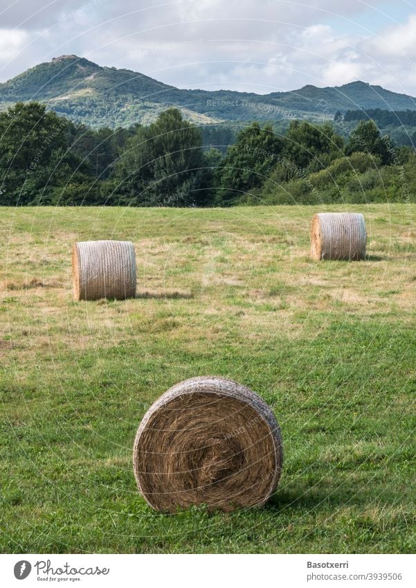 Round bales of straw in a meadow in a hilly landscape. Álava Province, Basque Country, Spain Straw Hay Bale of straw round bales Field Harvest Landscape