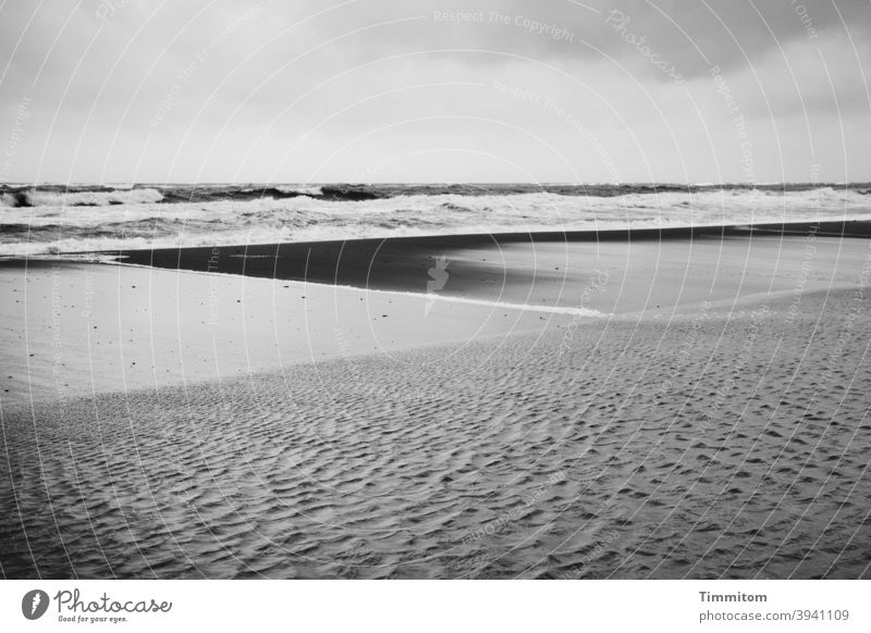 You'd think you were on a North Sea beach... Beach Denmark Water Waves Sand lines Black & white photo Nature Vacation & Travel Deserted Sky Elements