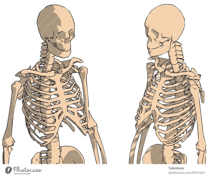 human back view