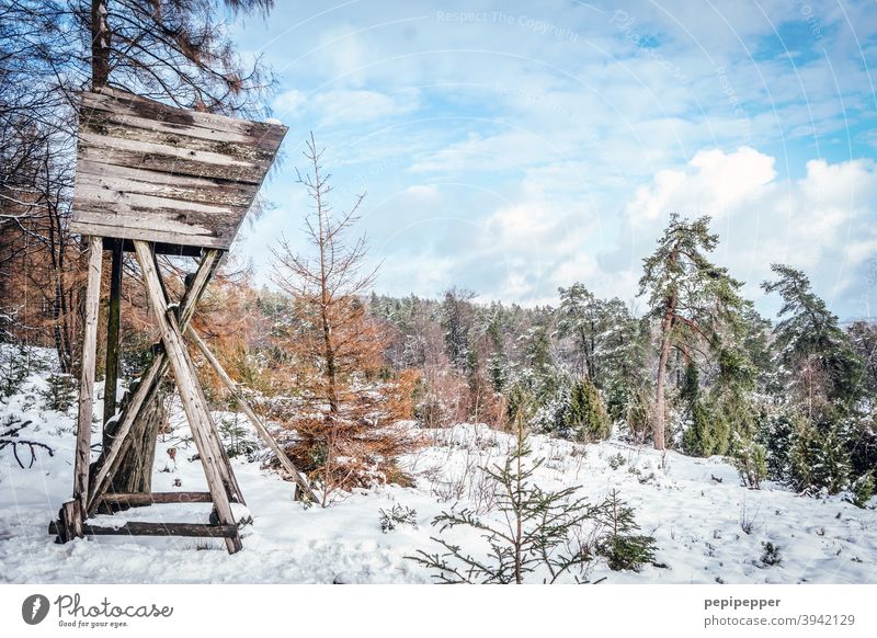 High seat in winter landscape Hunting Blind Hunter Nature Landscape Exterior shot Colour photo Forest Tree Wood Sky Field Clouds Green hunting Deerstalking Hut