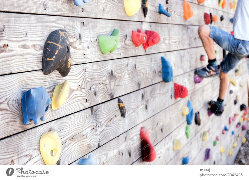 Monday morning and things are looking up on the climbing wall. Climbing handles Piggy shape climbing grips Children's legs younger f Leisure and hobbies Fitness