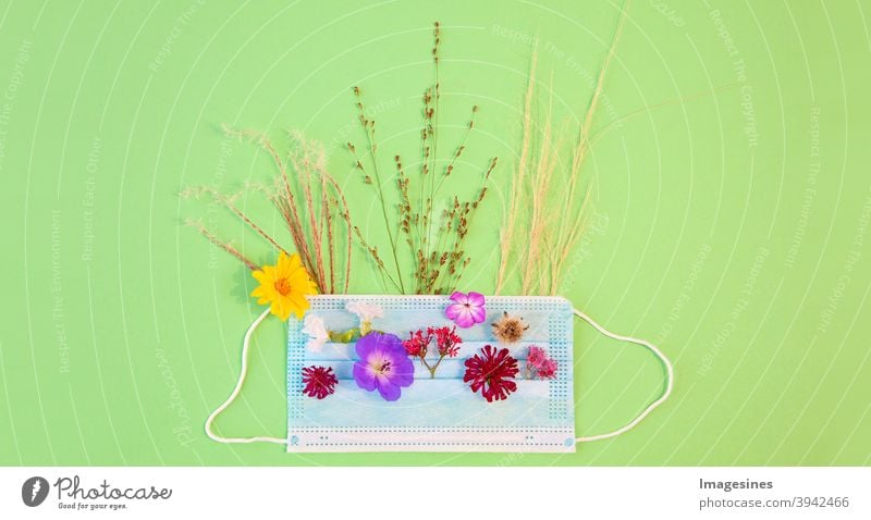 Medical protective mask, flowers and flowering grass - allergens. Spring and summer blooms and seasonal allergies and health problems. Allergy to pollen concept