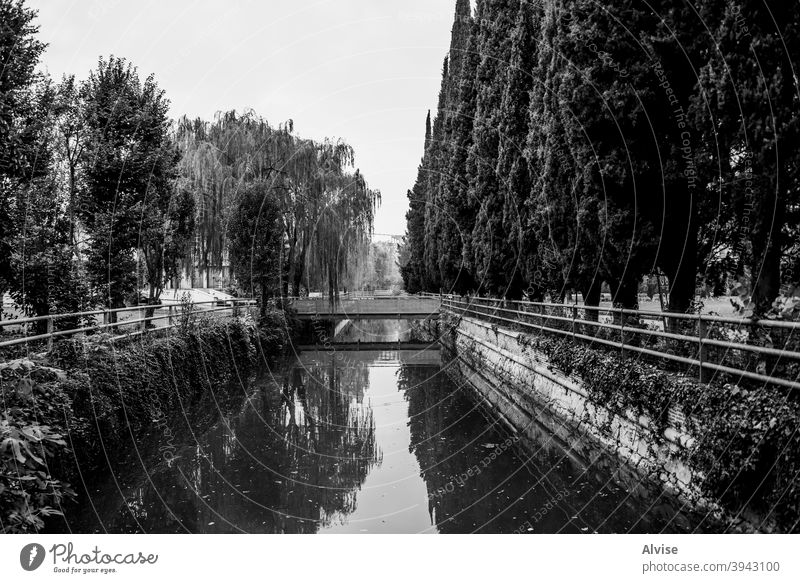 canal with water italy river veneto vicenza bacchiglione bridge italian city nature travel outdoor fiume green sky landscape tree blue europe grass trees