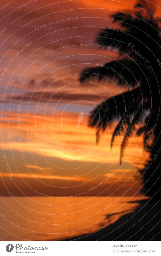 defocused tropical sunset background blur tropics sea ocean orange sky south pacific blurry blurred texture sunrise colorful romantic silhouette dusk beautiful