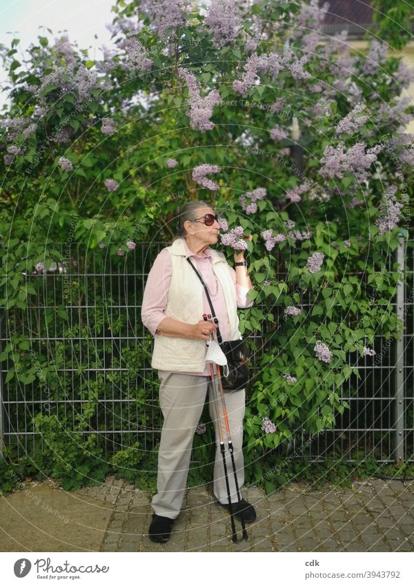 Lilac Scent Human being Woman person Senior citizen standing Walking sticks mouth-nose protection Mask in hand lilac sniff fragrances Spring blossom To enjoy
