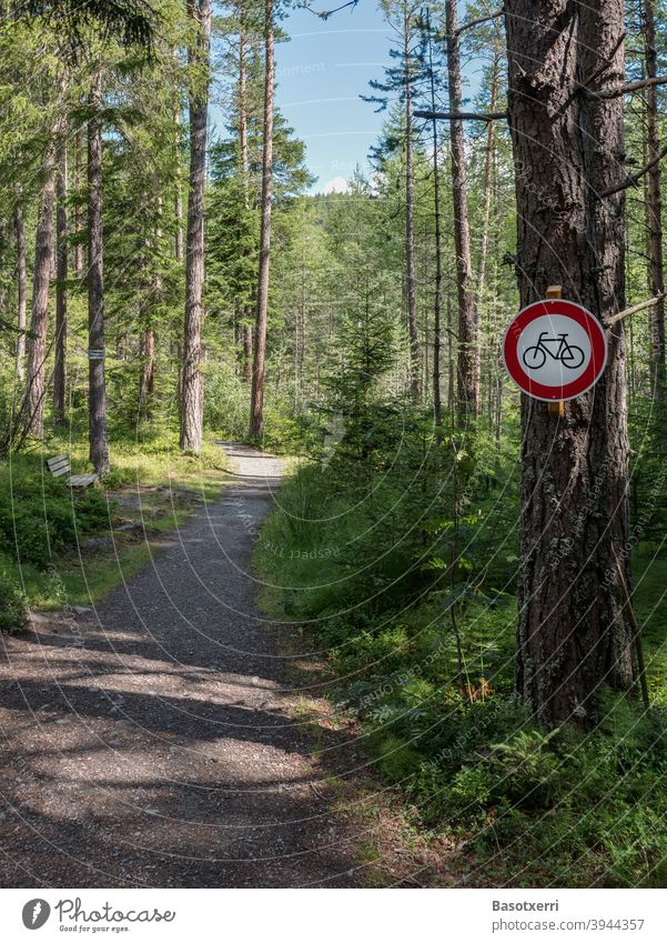 Bicycle prohibition sign on a narrow path in the forest mtb Mountain bike mountain bike Forest off Lanes & trails Narrow nobody Deserted hikers Conflict