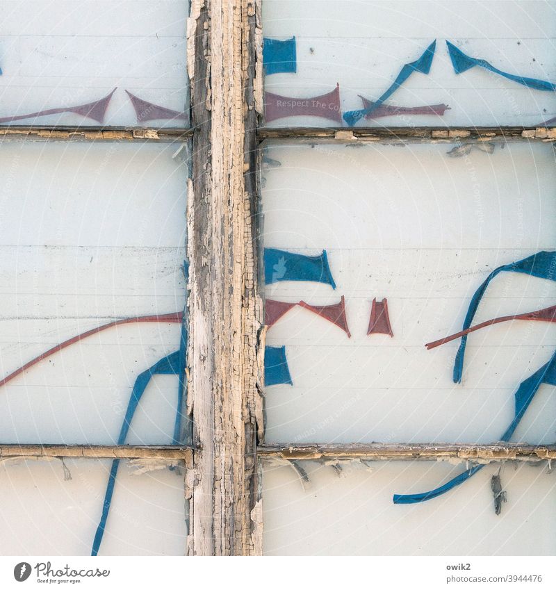 remnants Window Wood Glass Plastic Long shot Deserted Structures and shapes Detail Exterior shot lost places Derelict Colour photo Subdued colour Transience