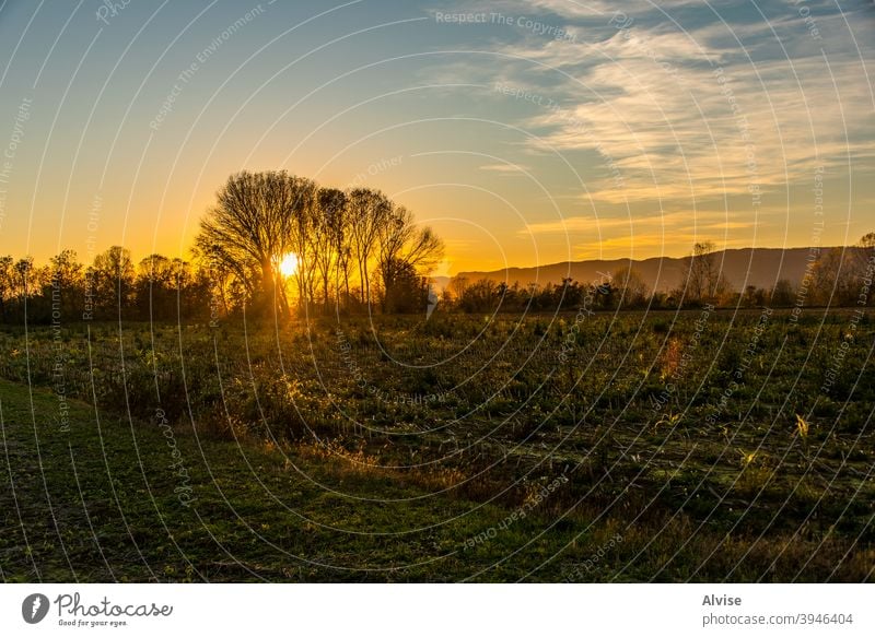 sunset in the trees rural yellow nature landscape field countryside sky agriculture autumn beautiful outdoor environment season blue view fall green horizon