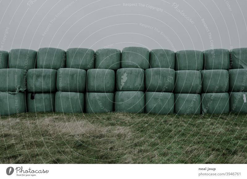 Hay bales wrapped in green foil stacked horizontally in a meadow Nature Agriculture Feed Supply Grass Green Packaged Packaging Packing film PVC Plastic plastic