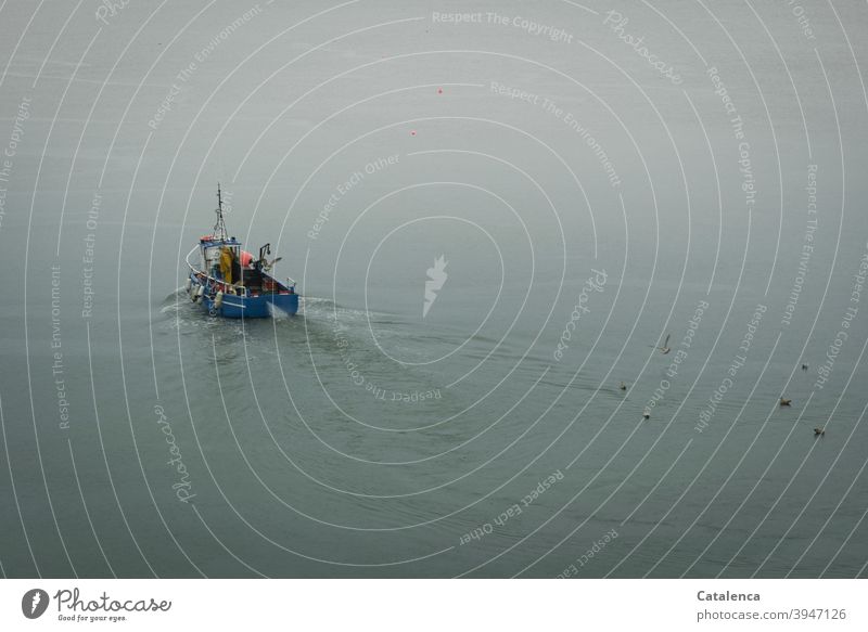 A fishing boat goes out to sea in the early autumn morning Nature Fishing boat Driving Elapse Lake Ocean Fisherman Water Cold Watercraft Fisheries gulls