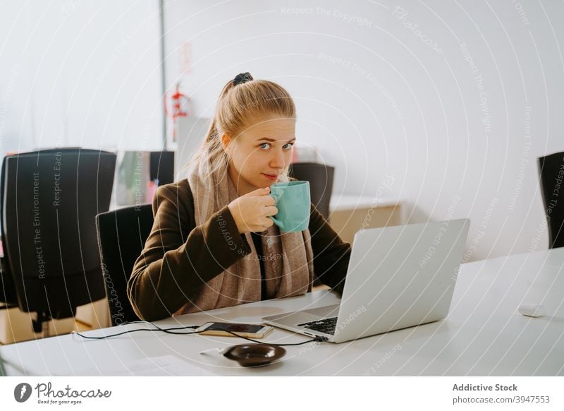 Blond Business woman working in an office business computer laptop female professional people businesswoman beautiful person manager attractive occupation young