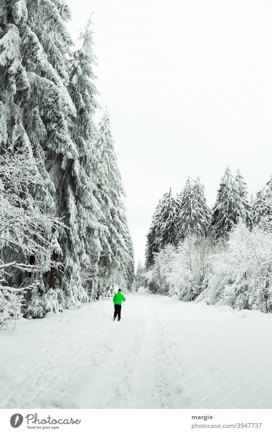 A path in deep winter with a skier, a snowy landscape with snowy trees Winter skis Snow Sports Skiing Winter sports Ice Tracks Cross-country ski trail Day Skis