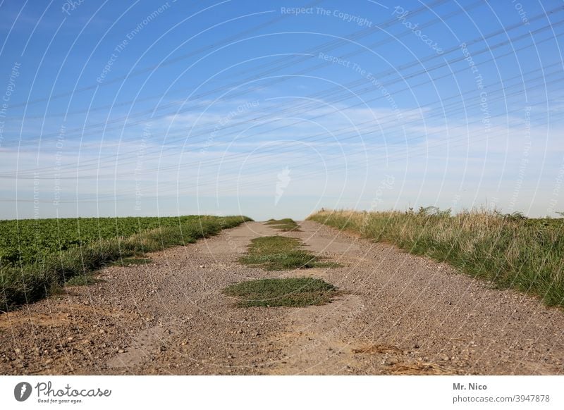 dirt road Landscape Environment Lanes & trails Field Clouds Sky Nature Green Horizon Idyll naturally silent tranquillity Rural To go for a walk off Hiking