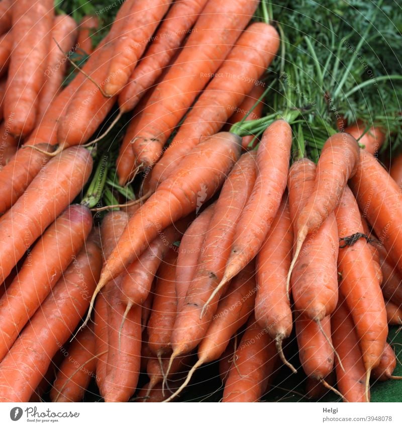 fresh carrots, bundled with greens roots Vegetable Vegetarian diet Organic produce Nutrition Fresh Food Healthy Colour photo Delicious Healthy Eating