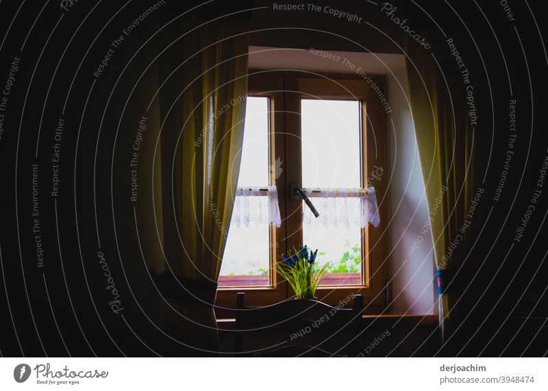 Window in a farmhouse, with a view to the outside.  With curtains and flowers. House (Residential Structure) Architecture Building Deserted Curtain