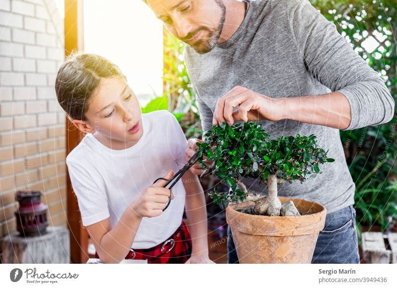 Senior man who teaches his daughter to care for a bonsai garden old hobby plant asian gardening senior 40s father teaching Father Daughter Child