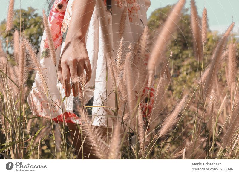 Low section of a woman in a summer dress among the grasses joy fashion boho style freedom life female outdoor meadow fragility delicate golden hour day enjoying