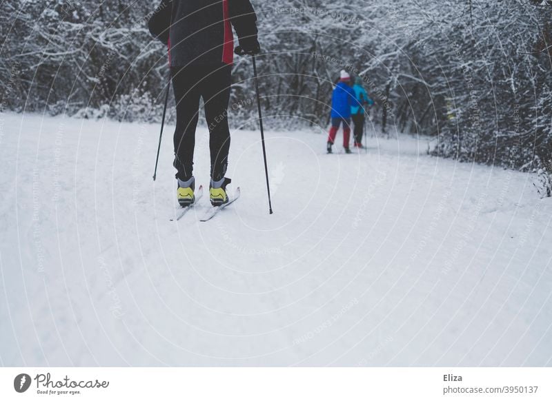 People cross country skiing in a winter snowy landscape cross-country Winter sports winter landscape Snow out Skiing Sports Movement Landscape Nature White