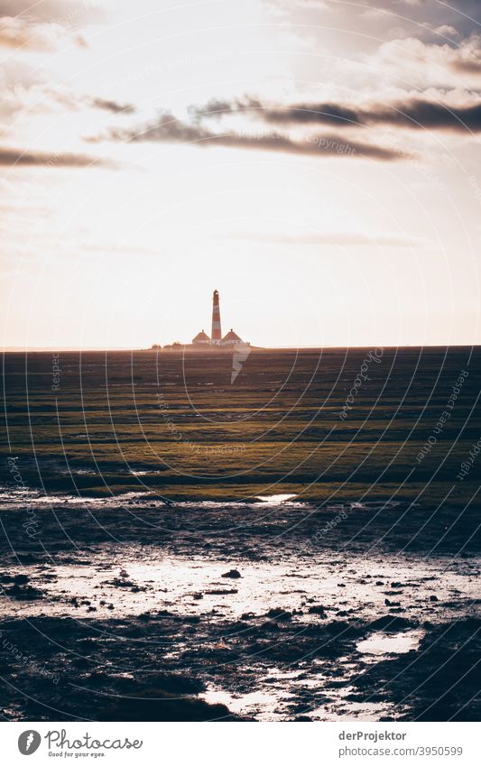 Sunset at the lighthouse Westerheversand on the peninsula Eiderstedt V Wide angle Panorama (View) Long shot Worm's-eye view Deep depth of field Sunlight