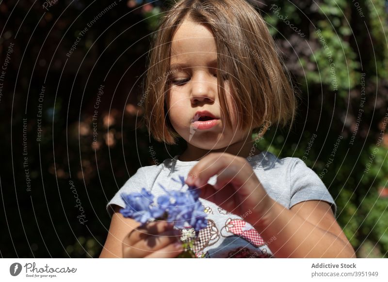 Cute kid with delicate flowers in hand resting on lawn in house garden child bunch courtyard play nature floral enjoy adorable girl blond casual fresh purple