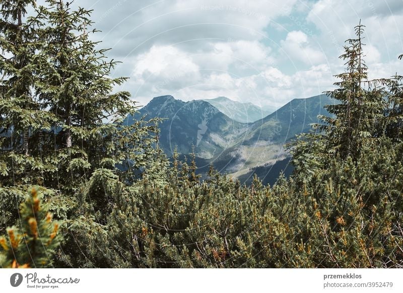 Tatra Mountains landscape. Scenic view of mountain rocky peaks, slopes, hills and valleys amazing outdoors nobody vacation path tourism trees top background