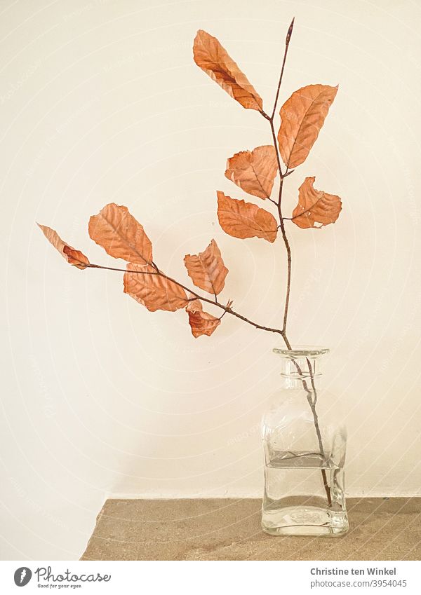 A small branch of a beech with leaves in autumn color stands in a small glass bottle. This stands on sandstone in front of a light background. Still life.