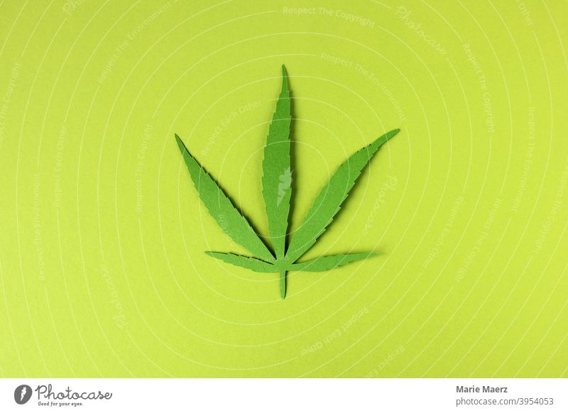 Hemp leaf - paper illustration on green background Plant Leaf Marijuana medicine Cannabis Green Medication Organic Hashish legalization Cannabis plant