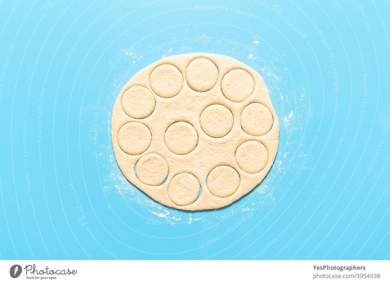 Making doughnuts process. Handmade donut dough cut in round shapes aligned american baking blue background breakfast cake calories circle shape comfort food